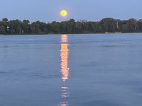 IMG_3078.jpeg