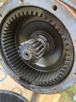 IMG_3976.jpeg