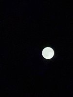 IMG_7299.jpg