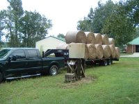 Hay 006.jpg