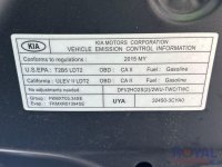 24131-10.jpg