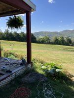 IMG_0643.jpeg