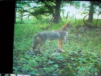 100_1624.JPG