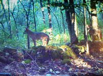 100_1625.jpg