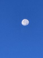 IMG_7308.jpg