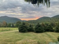 IMG_0648.jpeg