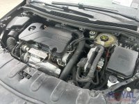 25085-9.jpg
