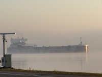 IMG_3938.jpeg