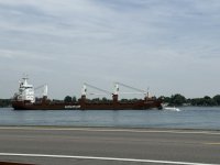 IMG_3935.jpeg