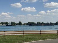 IMG_3956.jpeg
