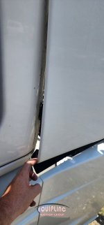 amrgj2659-37.jpg