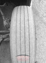 wof353178-8.jpg