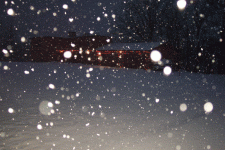 6-219793-snowing2web.gif