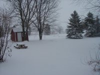 35-219822-xmassnow.jpg