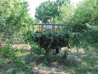 276136-myrake8.jpg