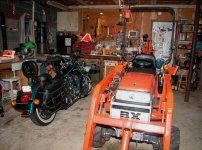 316343-BX and Harley.JPG