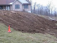 33-220655-Frontyard3.jpg