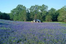 13-43807-BlueOnBlue.jpg