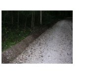 749549-Ditch.jpg