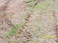 833389-tracks.jpg
