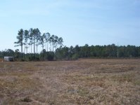 834075-property island wd 10.JPG