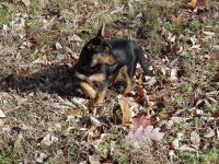 Tenbrooks 11-29-11.jpg