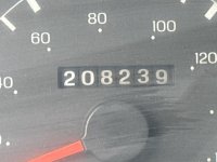 21668_16.jpg