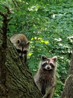IMG_20190708_151848.jpg