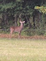 20250925_190622.jpg