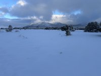 IMG_1444.jpeg