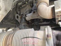 hgnhc4465-20.jpg