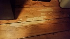 20151113_061713_resized.jpg