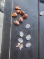 20250930_173111.jpg