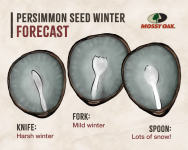 Persimmon_Graphic.png