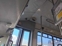 44503-17.jpg
