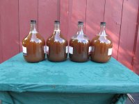Cider_00006.jpg
