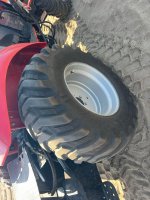 201903-11.jpg