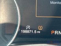 23017-6.jpg