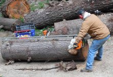 sawmill_3.jpg