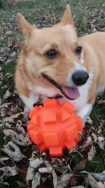 ellie2-12-6-14.jpg