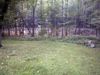 750696-IMG_0957.jpg