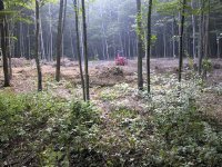 750698-IMG_0958.jpg