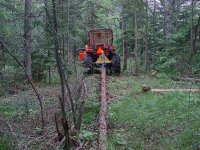683450-Kubota - Skidding Tree Length - 1.jpg