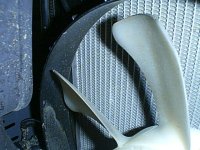 713571-IMG_0584.jpg