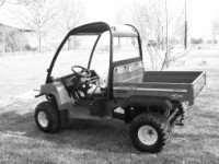 676308-resized gator.jpg