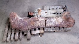Prehistoric Pallets.jpg