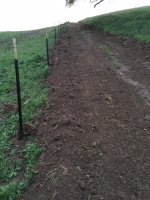 Ranch Back 40 Fence Row.jpg