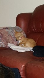 20160416_214342_resized.jpg