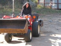 Both Tractors_2 .JPG