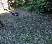 mow4.jpg